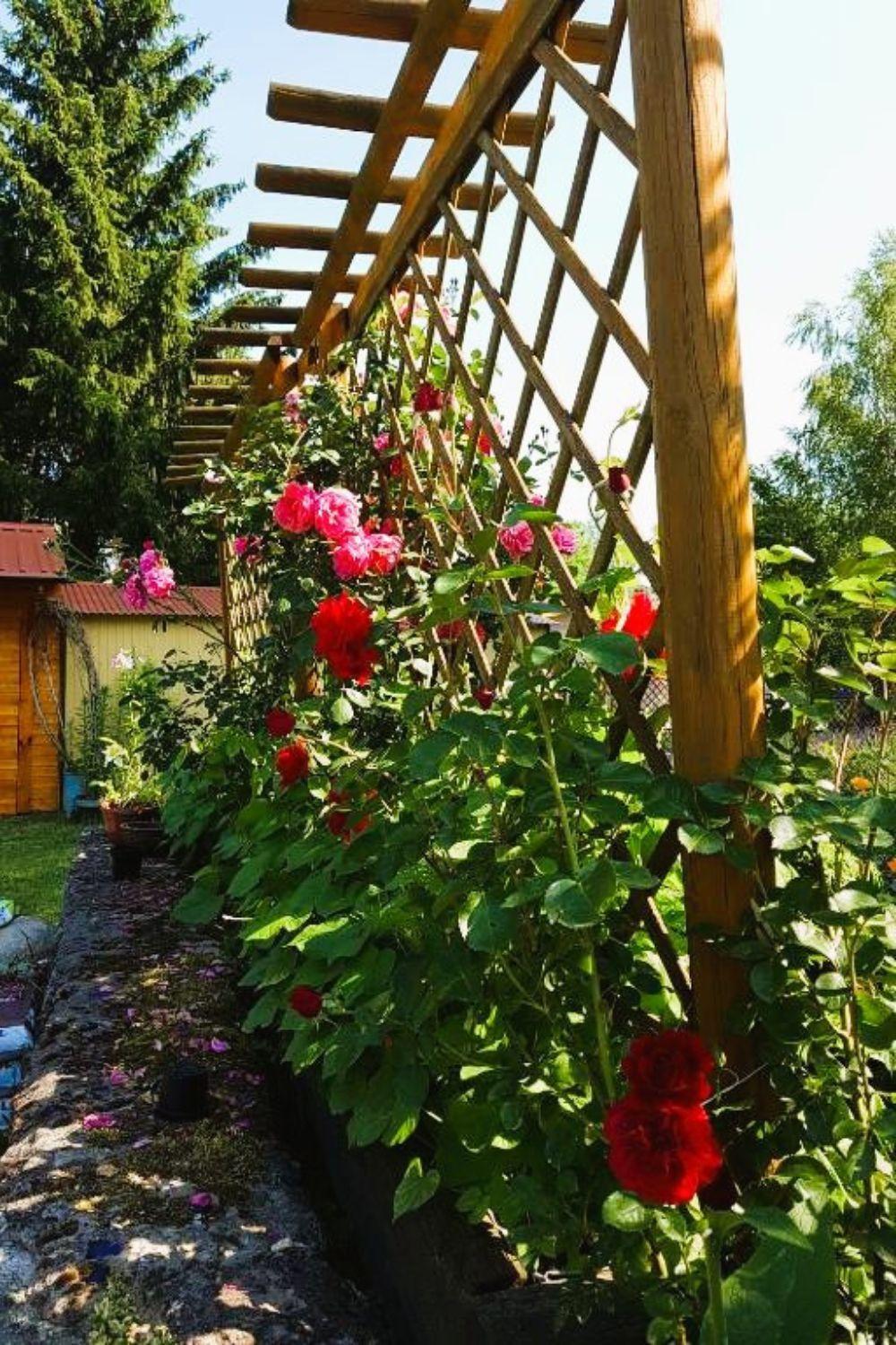 Olszyna Pod Brzoza Villa Exteriör bild