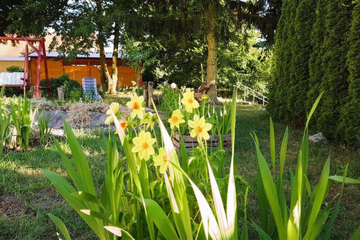 Olszyna Pod Brzoza Villa Exteriör bild